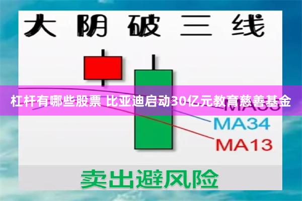 杠杆有哪些股票 比亚迪启动30亿元教育慈善基金
