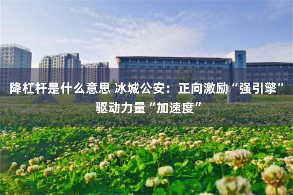 降杠杆是什么意思 冰城公安：正向激励“强引擎” 驱动力量“加速度”