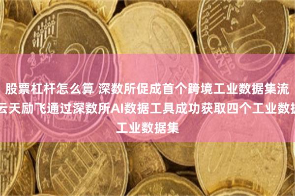 股票杠杆怎么算 深数所促成首个跨境工业数据集流通 云天励飞通过深数所AI数据工具成功获取四个工业数据集