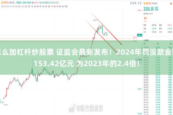 怎么加杠杆炒股票 证监会最新发布！2024年罚没款金额153.42亿元 为2023年的2.4倍！