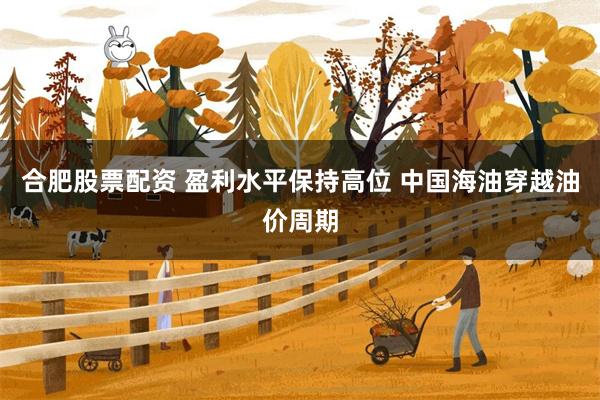 合肥股票配资 盈利水平保持高位 中国海油穿越油价周期