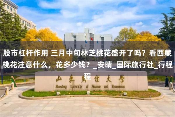股市杠杆作用 三月中旬林芝桃花盛开了吗？看西藏桃花注意什么，花多少钱？_安晴_国际旅行社_行程