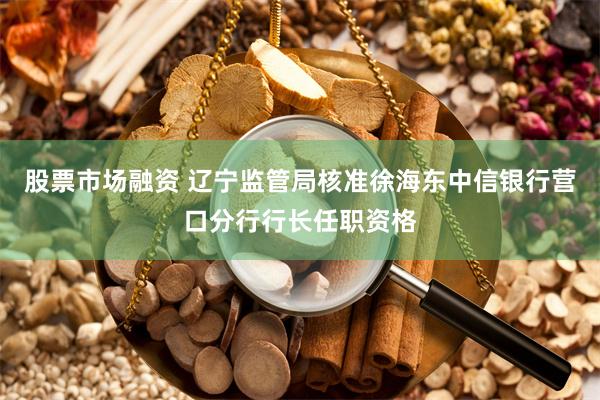 股票市场融资 辽宁监管局核准徐海东中信银行营口分行行长任职资格