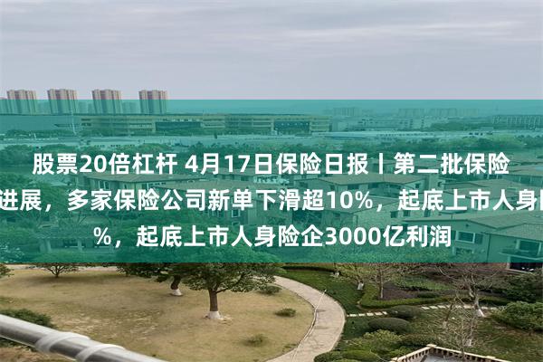 股票20倍杠杆 4月17日保险日报丨第二批保险系私募基金迎新进展，多家保险公司新单下滑超10%，起底上市人身险企3000亿利润