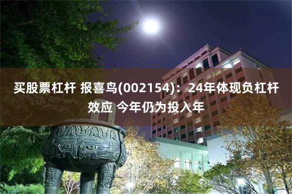 买股票杠杆 报喜鸟(002154)：24年体现负杠杆效应 今年仍为投入年