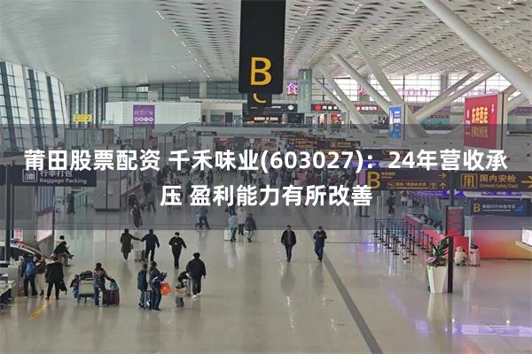 莆田股票配资 千禾味业(603027)：24年营收承压 盈利能力有所改善
