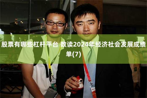 股票有哪些杠杆平台 数读2024年经济社会发展成绩单(7)