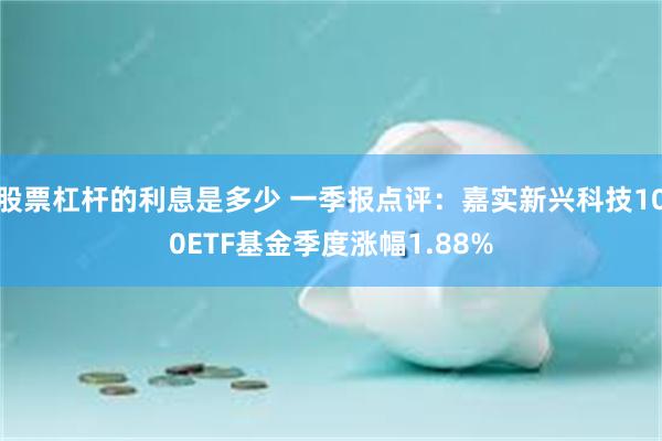 股票杠杆的利息是多少 一季报点评：嘉实新兴科技100ETF基金季度涨幅1.88%