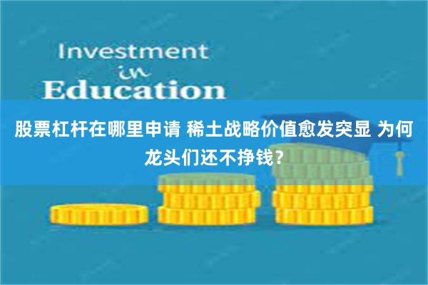 股票杠杆在哪里申请 稀土战略价值愈发突显 为何龙头们还不挣钱？