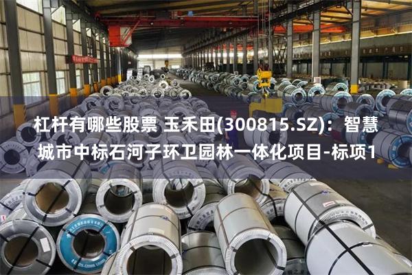 杠杆有哪些股票 玉禾田(300815.SZ)：智慧城市中标石河子环卫园林一体化项目-标项1
