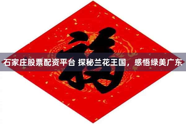 石家庄股票配资平台 探秘兰花王国，感悟绿美广东