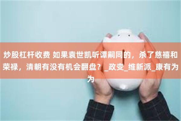 炒股杠杆收费 如果袁世凯听谭嗣同的，杀了慈禧和荣禄，清朝有没有机会翻盘？_政变_维新派_康有为