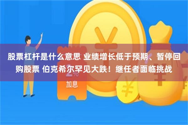 股票杠杆是什么意思 业绩增长低于预期、暂停回购股票 伯克希尔罕见大跌！继任者面临挑战