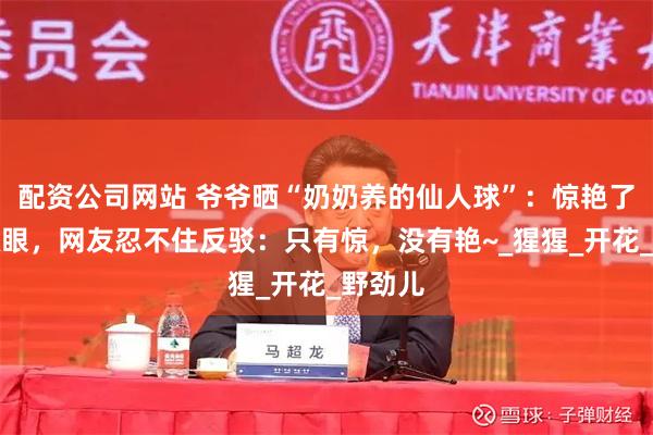 配资公司网站 爷爷晒“奶奶养的仙人球”：惊艳了我的双眼，网友忍不住反驳：只有惊，没有艳~_猩猩_开花_野劲儿