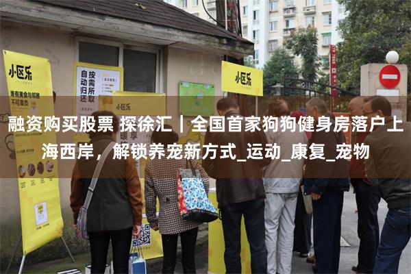 融资购买股票 探徐汇｜全国首家狗狗健身房落户上海西岸，解锁养宠新方式_运动_康复_宠物