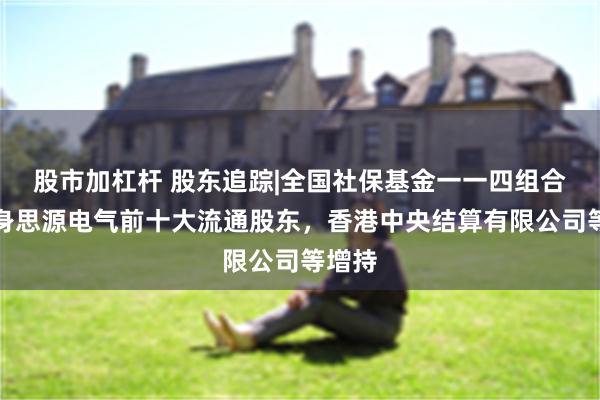 股市加杠杆 股东追踪|全国社保基金一一四组合未现身思源电气前十大流通股东，香港中央结算有限公司等增持