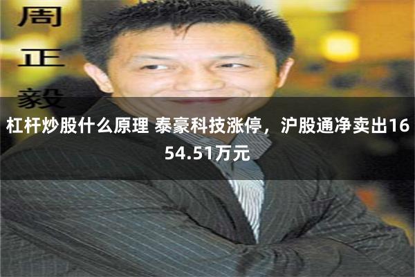 杠杆炒股什么原理 泰豪科技涨停，沪股通净卖出1654.51万元
