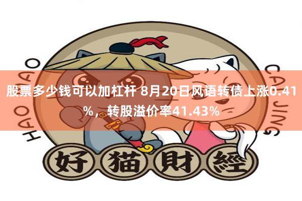 股票多少钱可以加杠杆 8月20日风语转债上涨0.41%，转股溢价率41.43%