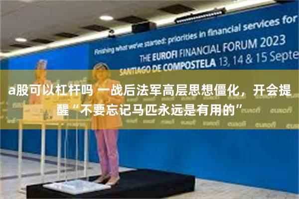 a股可以杠杆吗 一战后法军高层思想僵化，开会提醒“不要忘记马匹永远是有用的”
