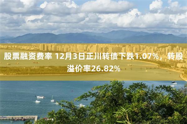 股票融资费率 12月3日正川转债下跌1.07%,转股溢价率26.82%